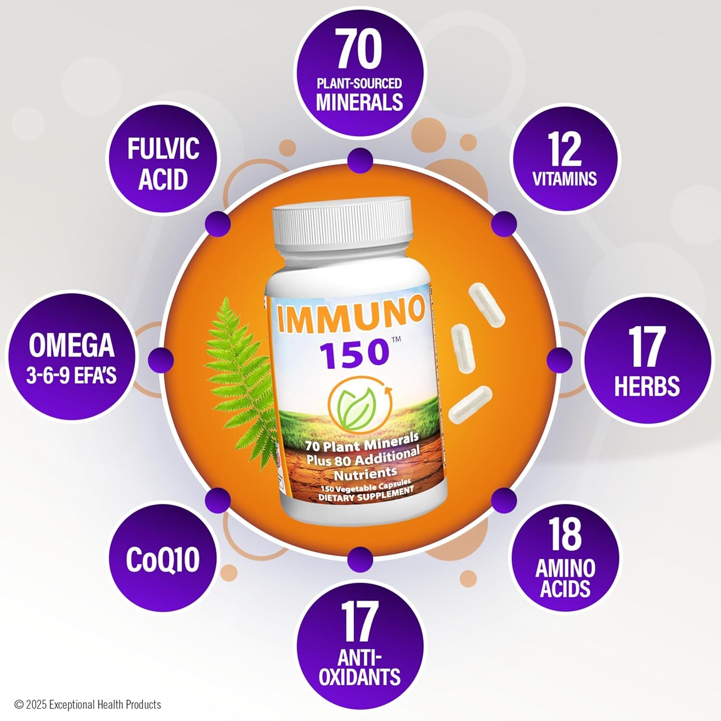 IMMUNO 150 Complete Multi | Advanced Daily Vitamin & Mineral Formula | 150 Capsules